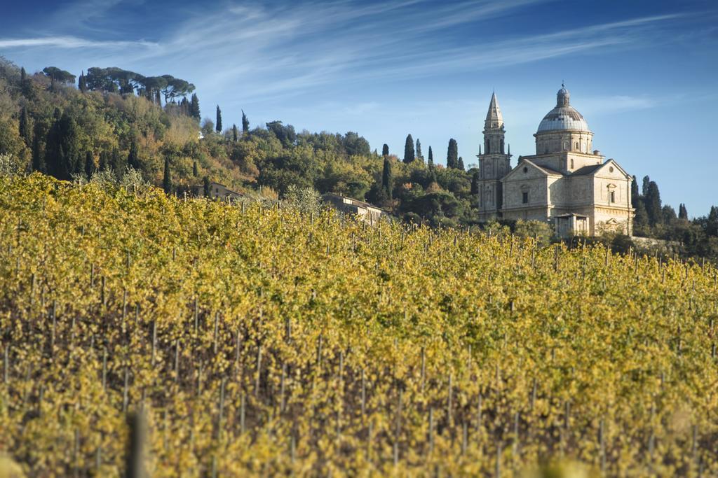 Agriturismo San Gallo Montepulciano Stazione Kültér fotó