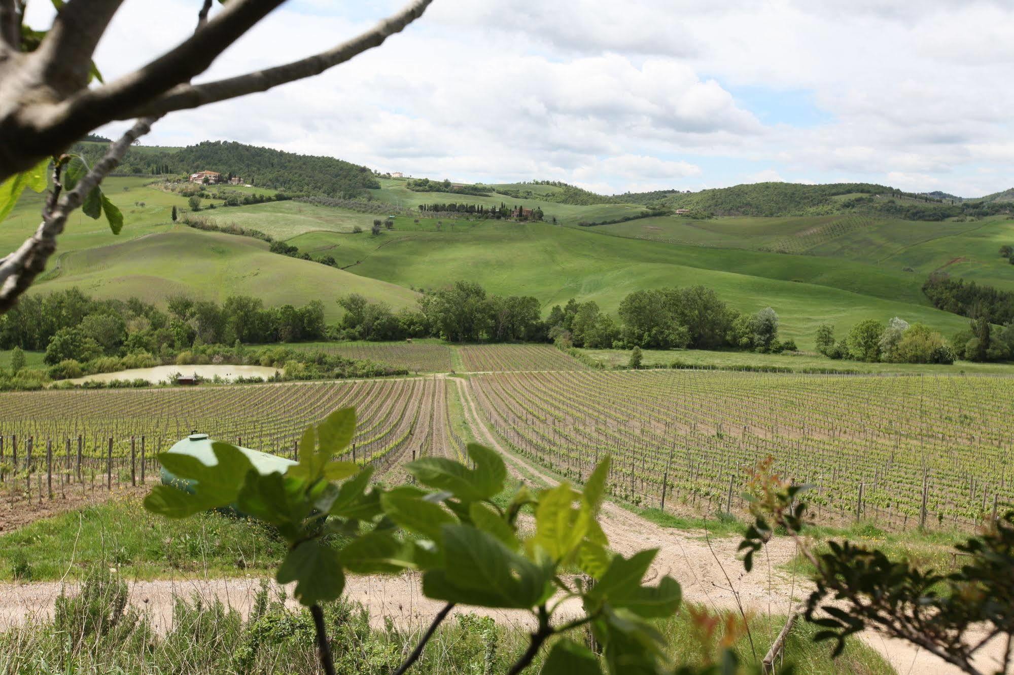 Agriturismo San Gallo Montepulciano Stazione Kültér fotó